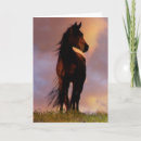 Search for western sympathy cards Equine
