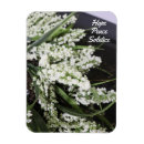 Search for hope magnets Peace