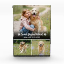 Search for dog loss quote Remembrance