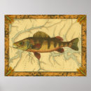 Search for perching posters Fish