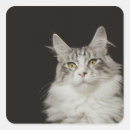 Search for for adults stickers Animal