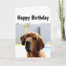 Search for wrinkles birthday cards Over the hill
