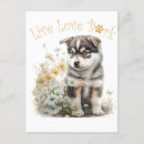 Search for malamute postcards Puppy