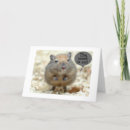 Search for gerbil cards From your friends