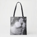 Search for singing bags Humour