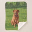 Search for labrador retriever blankets Yellow lab