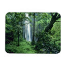 Search for pali magnets Kauai