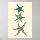 Search for spa waters posters Starfish