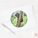 Search for cute bear cub stickers Forest