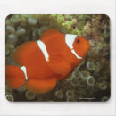 Search for wild creatures mousepads Underwater