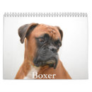 Search for boxer dog calendars Pet