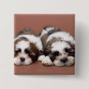 Search for tzu badges Animal