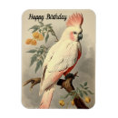 Search for vintage bird magnets Pretty