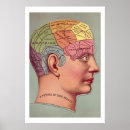 Search for phrenology head posters Brain