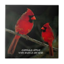 Search for cardinal tiles America