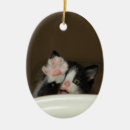 Search for hello christmas tree decorations Kitten