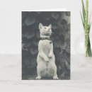 Search for vintage cat cards Cute