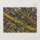 Search for darrell gulin postcards Gold