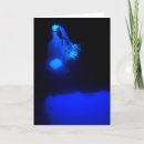 Search for diver photography Scuba