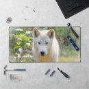 Search for timber mousepads Canine