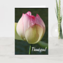 Search for red lily thank you cards Thanks