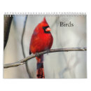 Search for eagle office supplies Nature