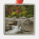 Search for new hampshire white mountains christmas tree decorations Autumn
