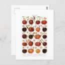 Search for vintage cherries postcards Fruit