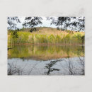 Search for pond reflection postcards Landscape