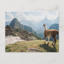 Search for machu cards Landscape