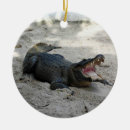 Search for alligator christmas tree decorations Florida