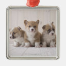 Search for welsh christmas tree decorations Animal