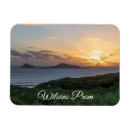 Search for panorama magnets Nature