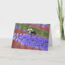 Search for macro photography cards Flowers