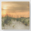 Search for seagull barware Photography
