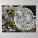Search for hydrangea photo posters Flower
