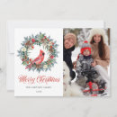 Search for cardinal photo christmas cards Watercolor