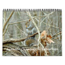 Search for chipmunk calendars Squirrels