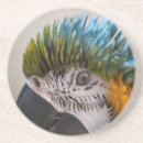 Search for bird lover barware Pets