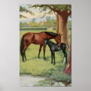Search for vintage horse posters Equestrian