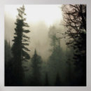 Search for foggy posters Trees