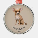Search for chihuahua christmas tree decorations Animal