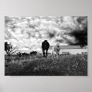 Search for pferd art Cavallo