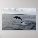 Search for naples florida posters Ocean
