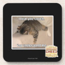 Search for couch coasters I can has cheezburger
