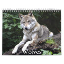 Search for wolf calendars Mountains