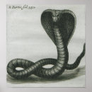 Search for fangs art Cobra