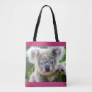 Search for koala accessories Adorable