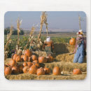 Search for cropped mousepads Autumn