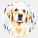 Search for golden retriever stickers Cute